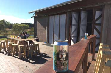 Young-Henrys-Brewery-Metricup-dairy-shed-conversion-4